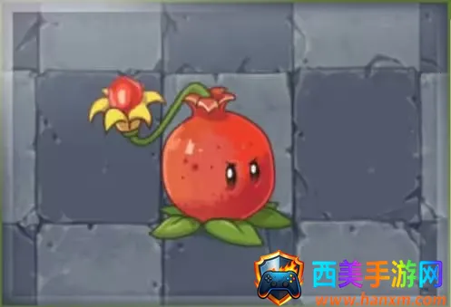 ֲ���ս��ʬ��ʼ����