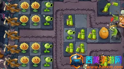 ֲ���ս��ʬ��ʼ����