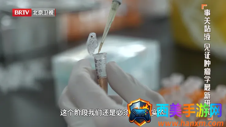 webview电视版 webview电视版