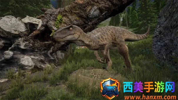 ����������Դ�ֻ�������