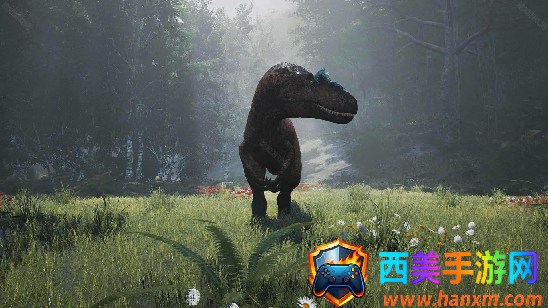 ����������Դ�ֻ�������