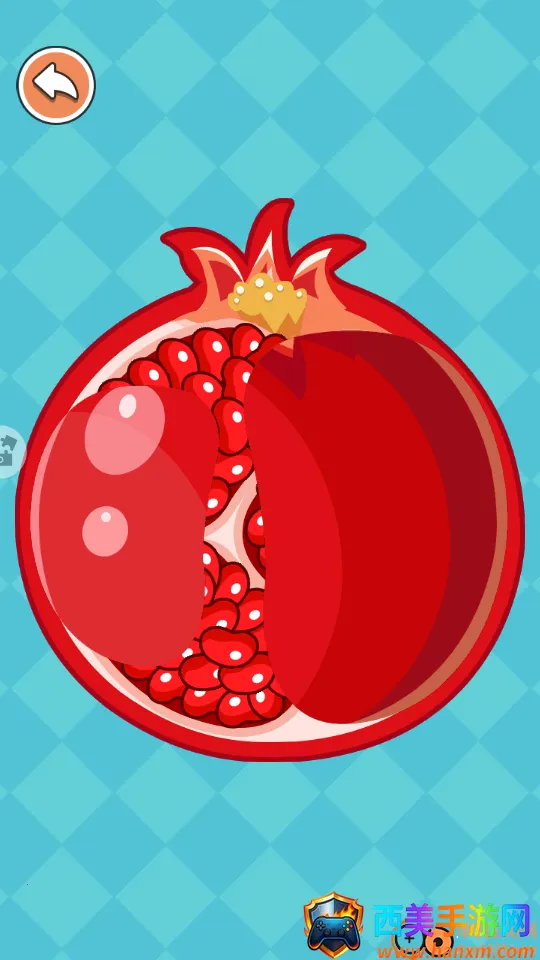 ������ѹ߹����