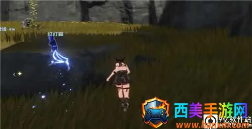 ����(����������Ϸ)