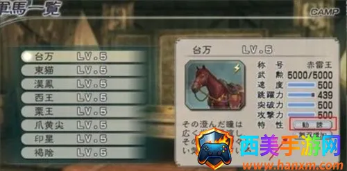 ��������˫(������������)