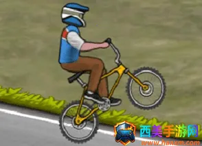 wheeliechallenge�ƽ������