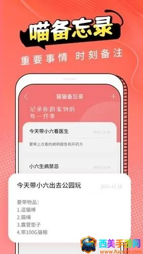 Cat Translation2026���°汾