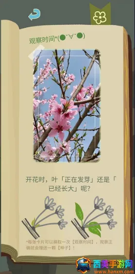 ��ũ������������