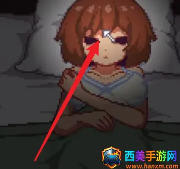 Night Adventure2026�ٷ�����