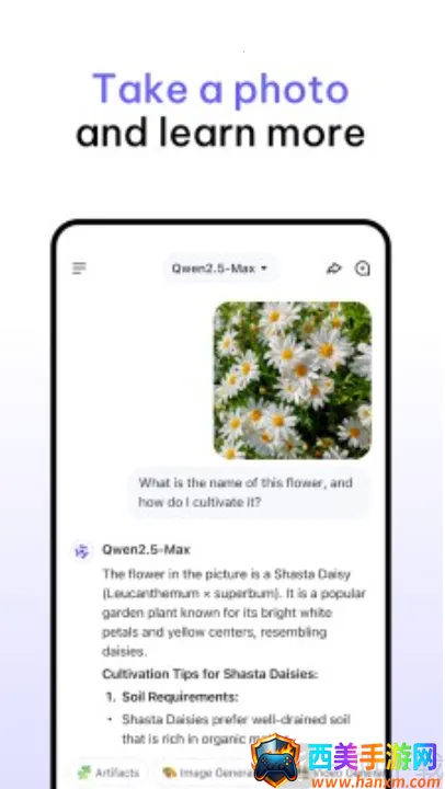 Qwen Chat(����ѧϰ�ʴ�����)