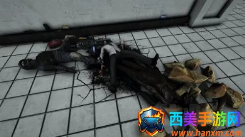 sl����ʵ����2026�ٷ�����