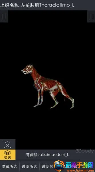 3dbody��������