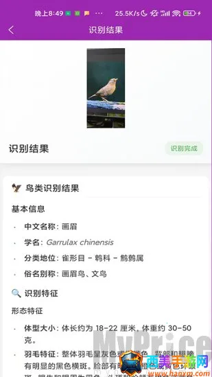 ʶ��(����ʶ�𹤾�)