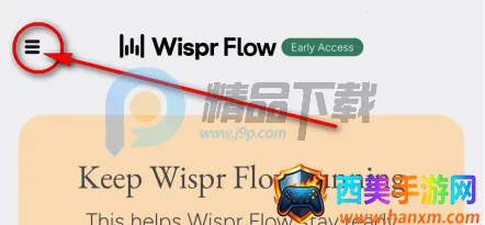 Wispr Flow(����ת���ֹ���)