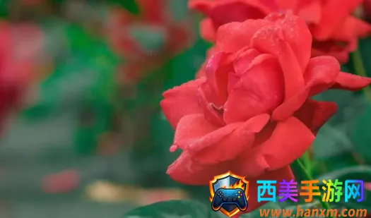 С԰��׷��app�����������