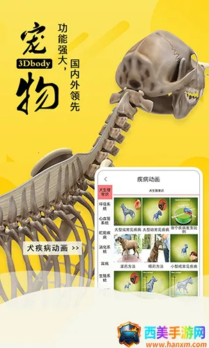 3dbody������������