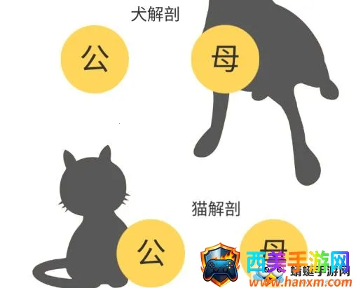 3dbody������������