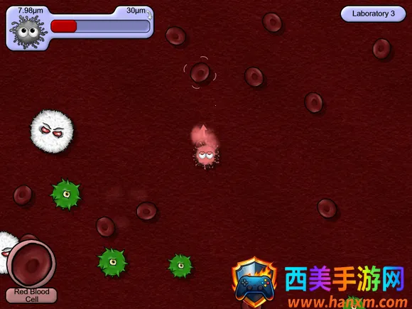 ��ζ����5�ƽ��