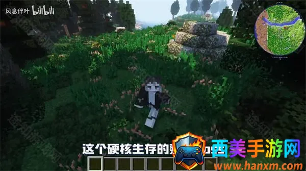 �ҵ�����Ⱥ�ʹ�˵���ϰ�(ɳ��ð����Ϸ)