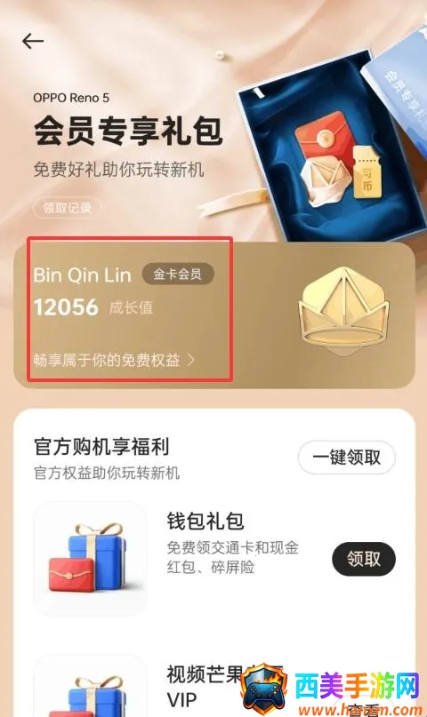 �ҵ� realme�����ֻ���