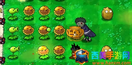 ֲ���ս��ʬ��Ӱ��2026���°汾