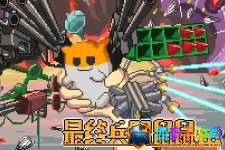 ���ձ����������޽��2026�ٷ�����