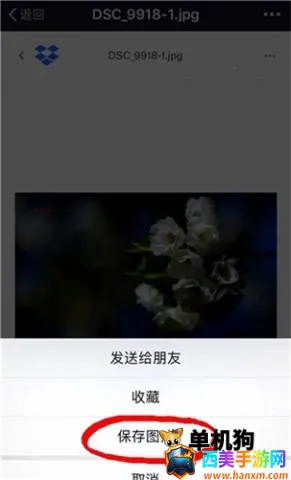 dropbox(�ƴ洢����)