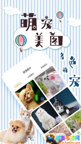 ��è���뽻����(���ｻ������)