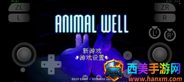 ���ﾮAnimalWell