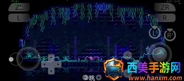 ���ﾮAnimalWell