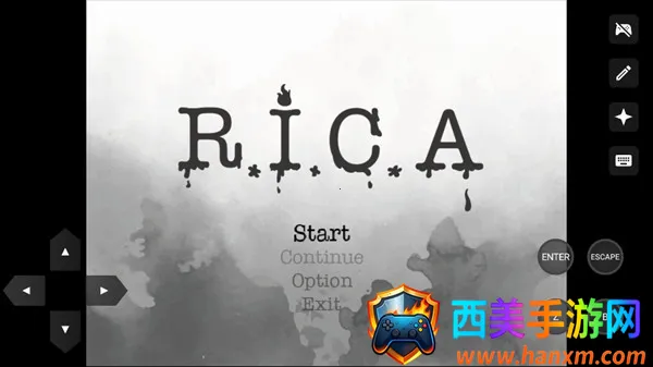 RICA�ֻ���