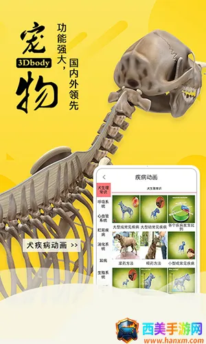 3dbody�������İ�