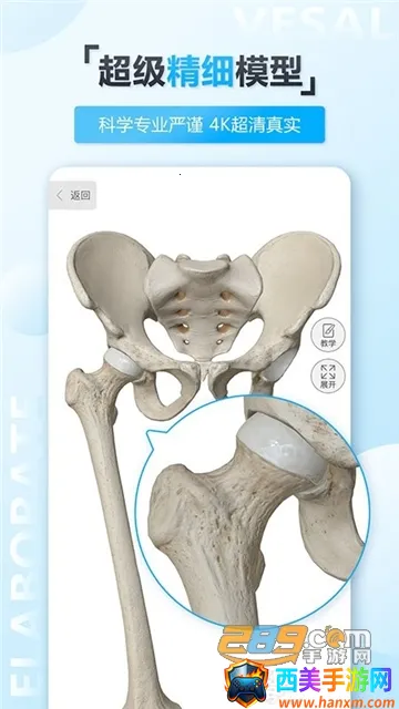 ά����3D����2026�ٷ����°汾