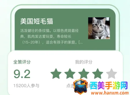 ȫ��AI�����ֻ���