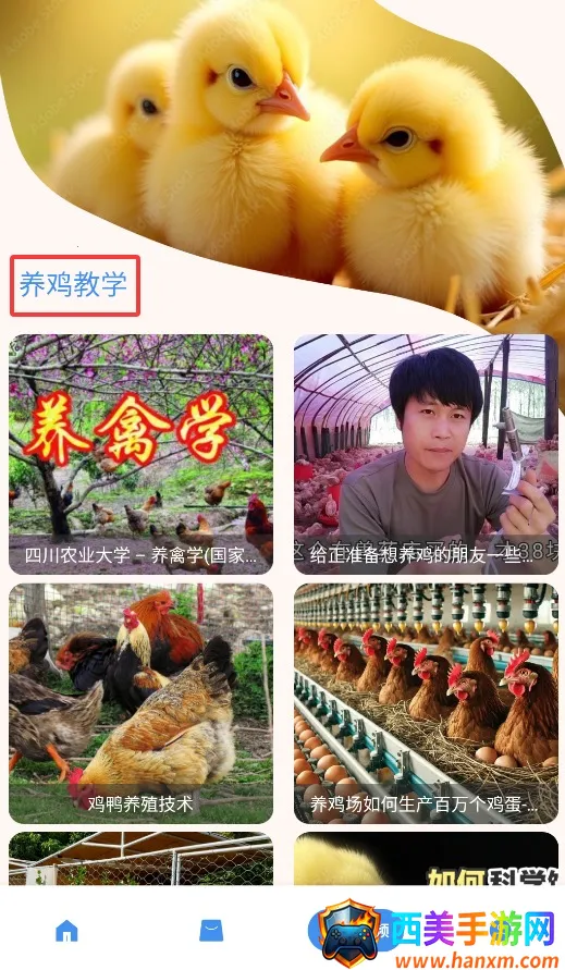 养鸡宝(养鸡管理app) 养鸡宝(养鸡管理app)