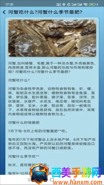 �����ֳ��׿���ֻ���