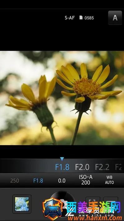 OLYMPUS Image Share2026�ٷ����°汾