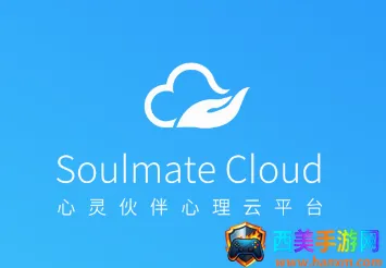 心灵伙伴云(心理测评管理平台) 心灵伙伴云(心理测评管理平台)