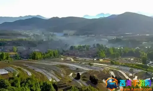 �������������ֻ���