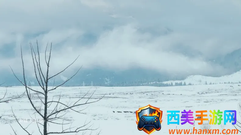 �����벥���ǰ�(����ֱ������)